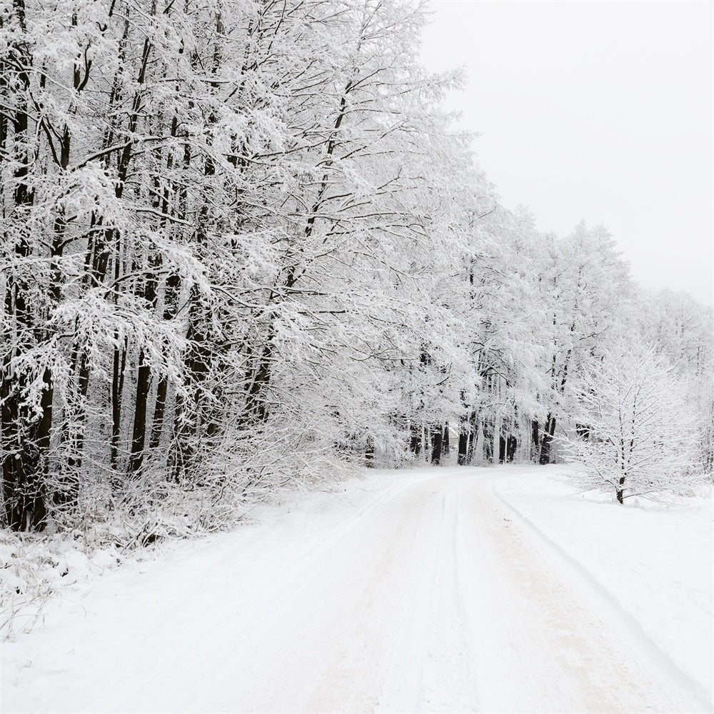 Sfondo Del Paese Delle Meraviglie Invernale Della Strada Forestale Innevata BRP9-325