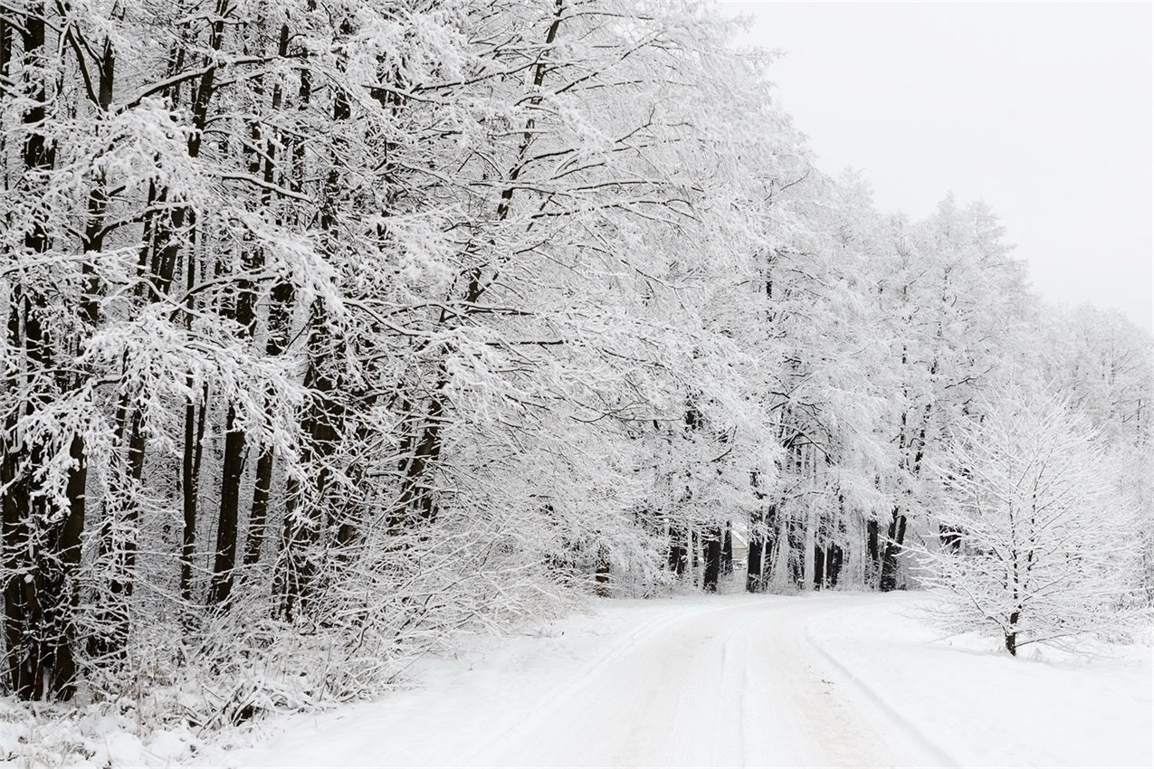 Sfondo Del Paese Delle Meraviglie Invernale Della Strada Forestale Innevata BRP9-325