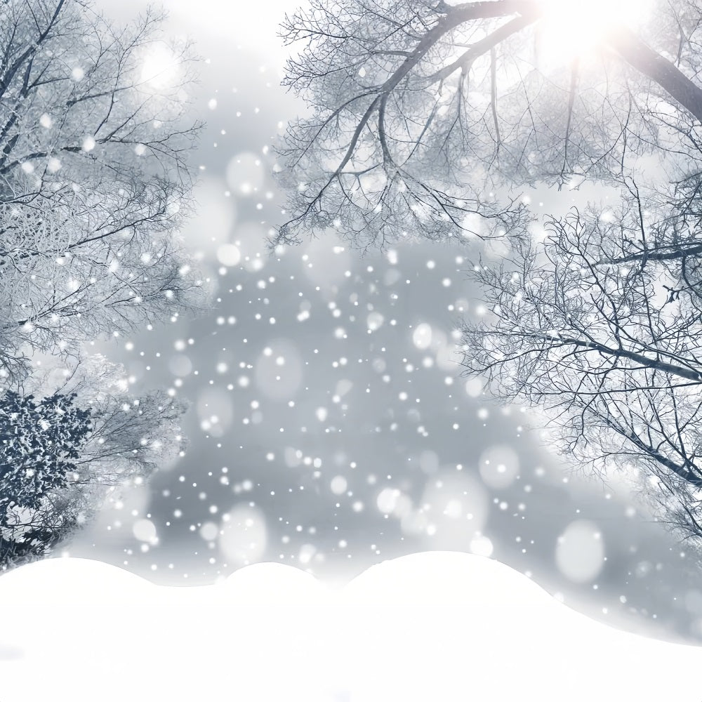 Scintillante Sfondo Invernale Con Fiocchi Di Neve Ghiacciati BRP9-344