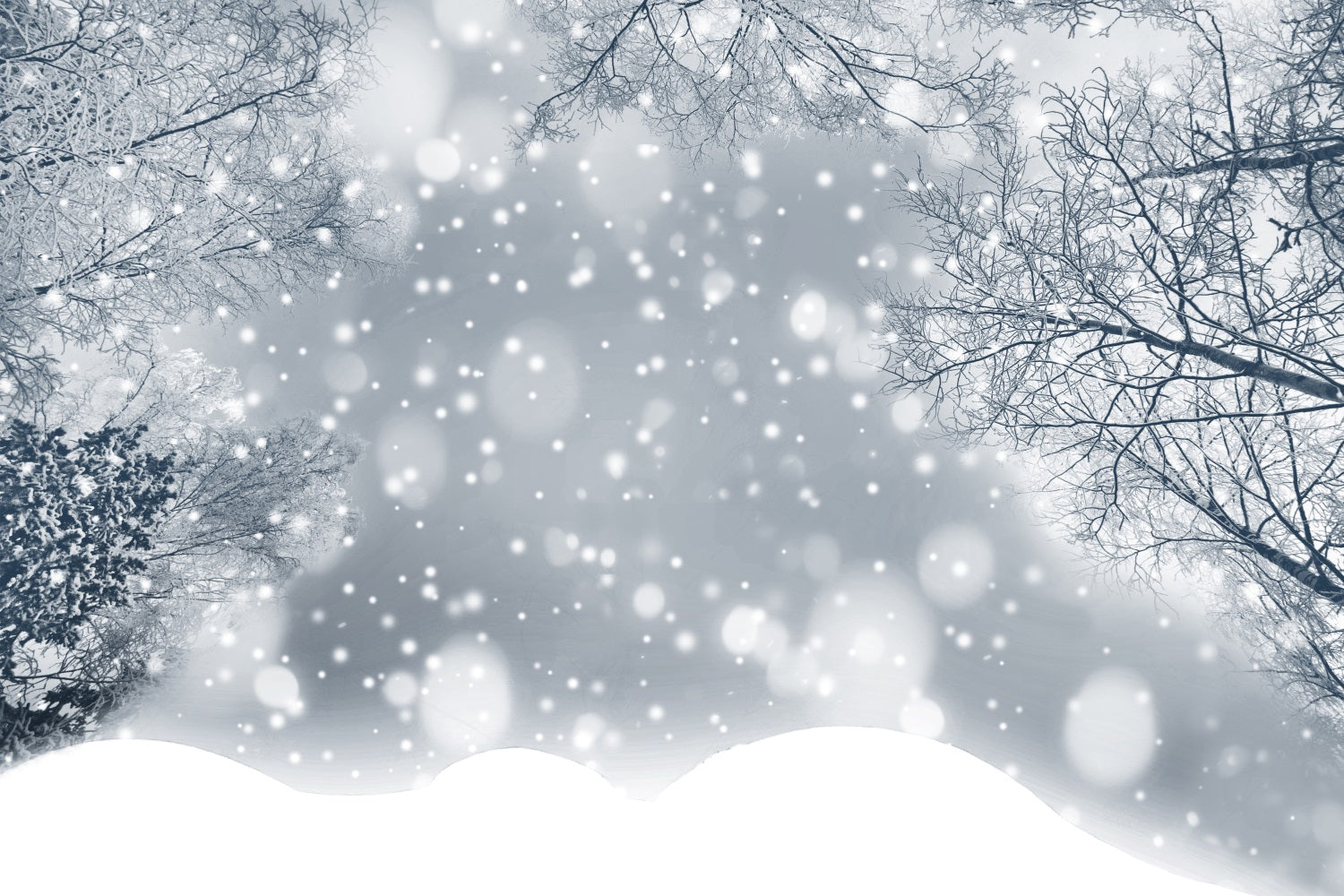 Scintillante Sfondo Invernale Con Fiocchi Di Neve Ghiacciati BRP9-344