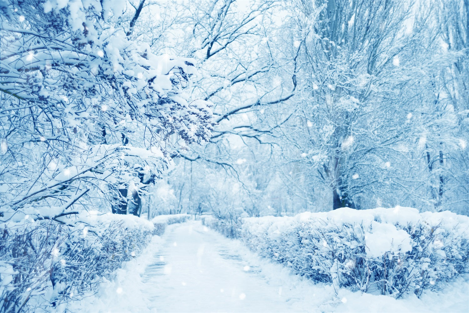 Sfondo Del Paese Delle Meraviglie Invernale Della Foresta Ghiacciata Di Alberi Innevati BRP9-354