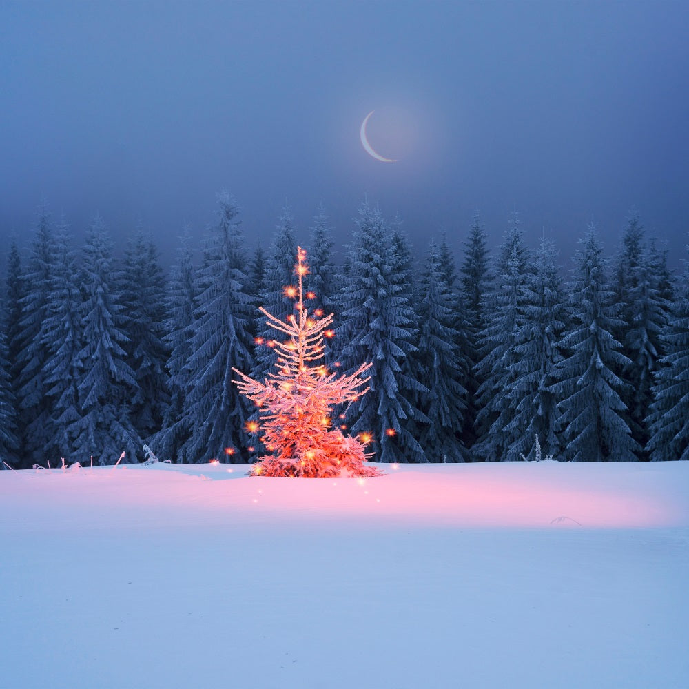 Sfondo Scintillante Dell'Albero Di Natale Al Chiaro Di Luna Invernale BRP9-365