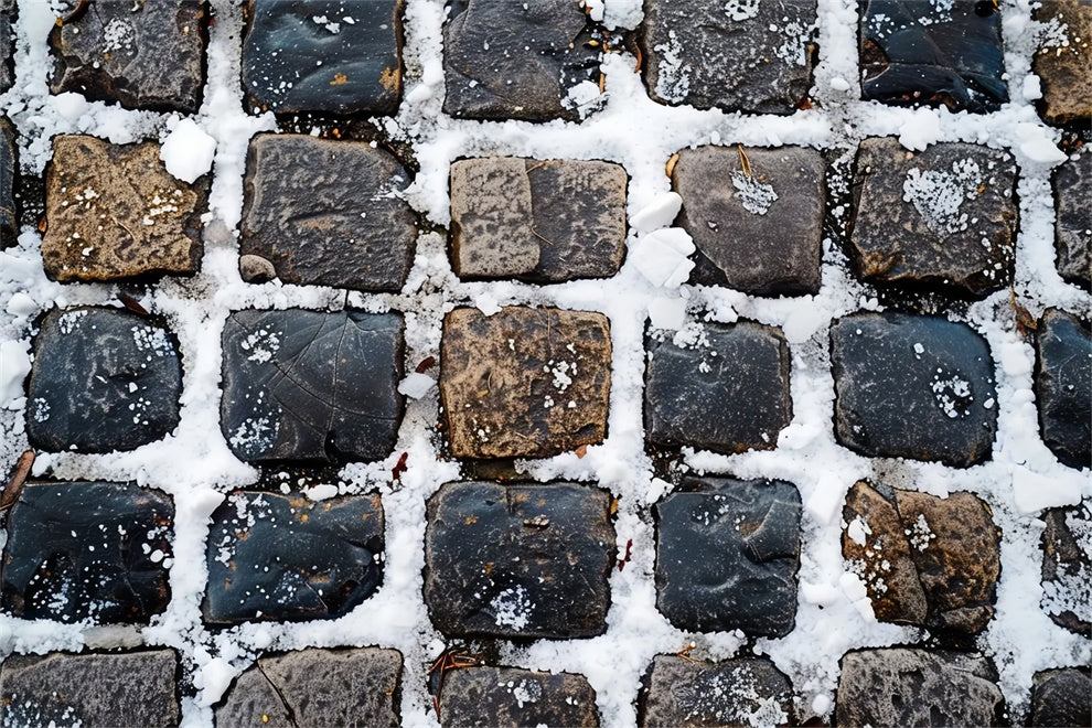 Sfondo Del Pavimento In Tessuto Di Mattoni Vecchi Spolverato Di Neve BRP9-9