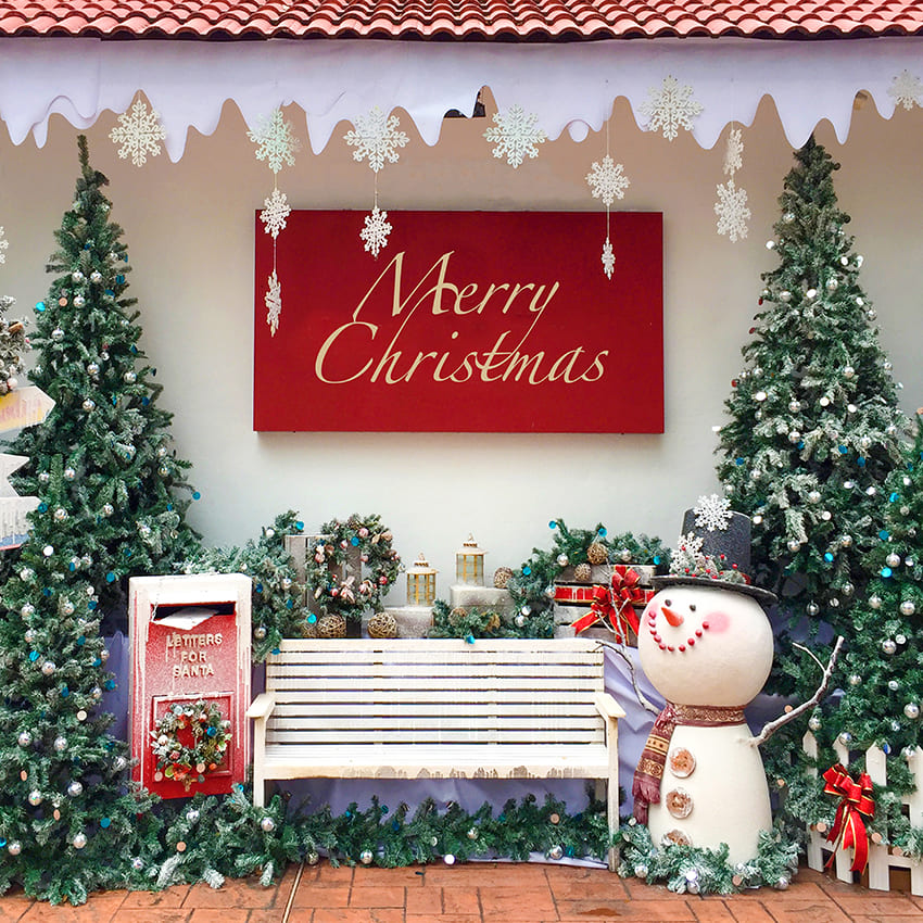 Sfondo Fotografico Per Mini Sessioni Di Buon Natale D1006