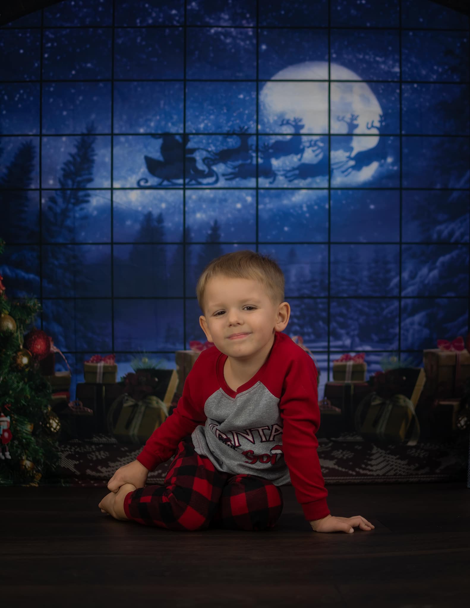 Sfondo Fotografico Per Regali Con Finestra Dell'Albero Di Natale D822