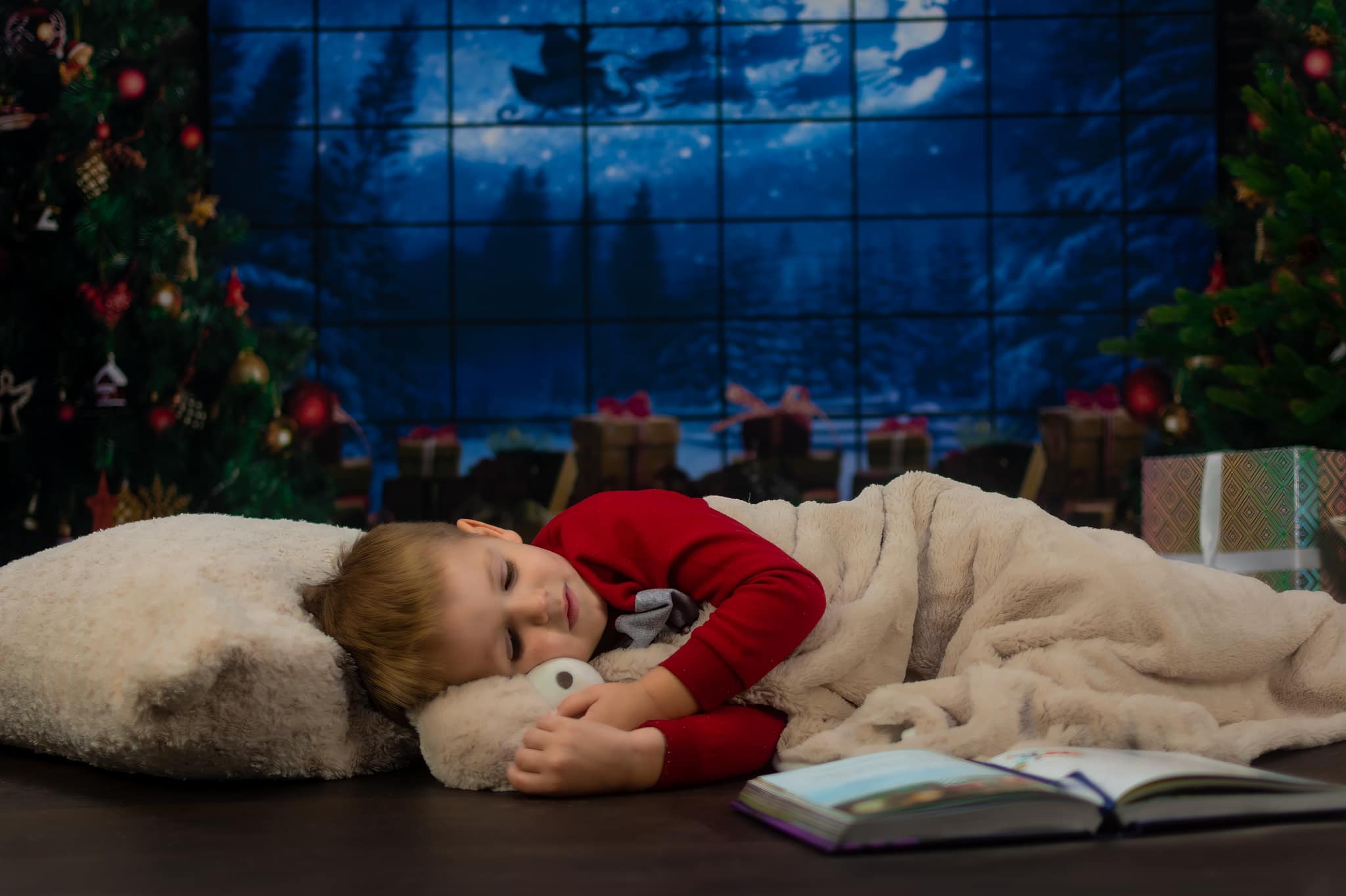 Sfondo Fotografico Per Regali Con Finestra Dell'Albero Di Natale D822