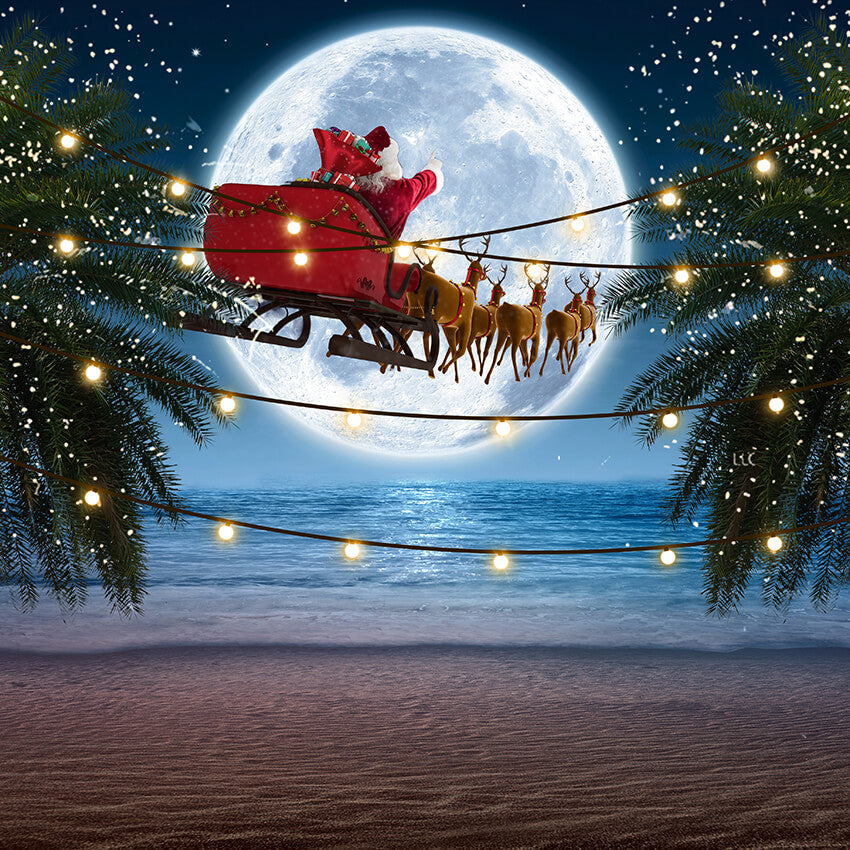 Sfondo Di Babbo Natale Con Albero Tropicale Al Mare D914