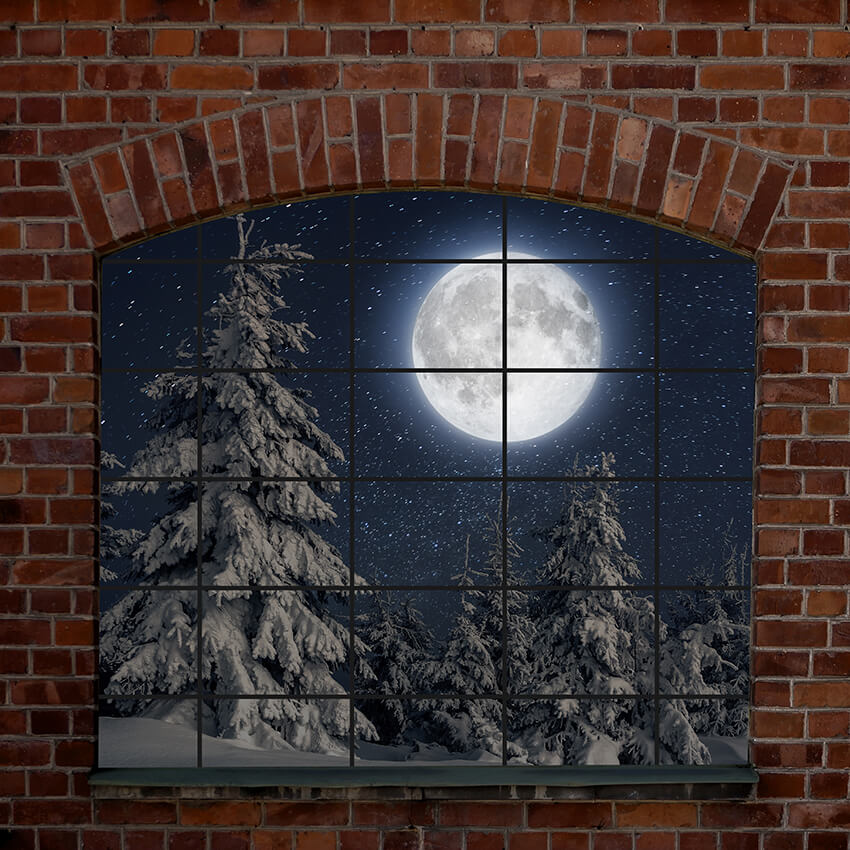 Fuori Dalla Finestra Abete Luna Inverno Sfondo D948
