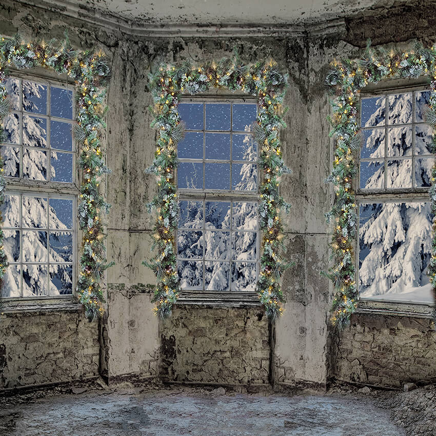Sfondo Dell'Albero Di Neve Invernale Del Castello Esterno D951