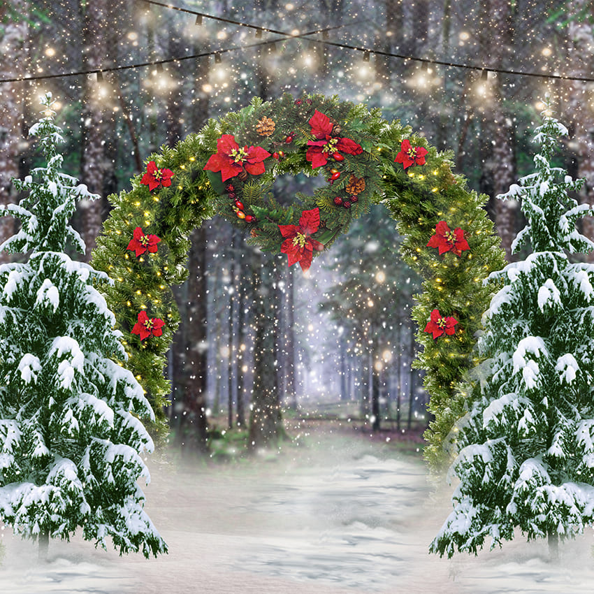 Sfondo Dell'Arco Dell'Albero Di Natale Della Foresta Invernale D972