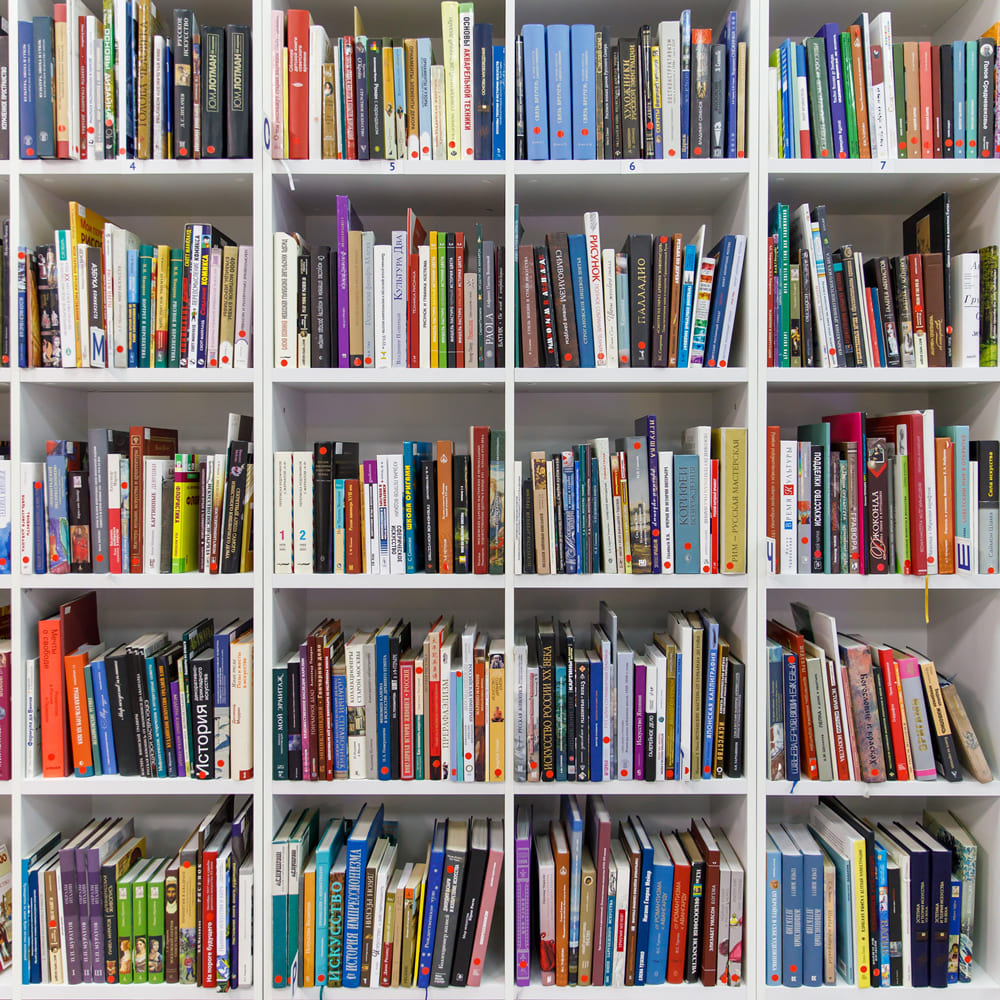 Libri Sullo Scaffale Della Biblioteca Sfondo Del Ritorno A Scuola DBD7-41