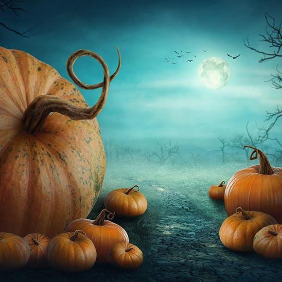Sfondo Di Festival Sfondo Di Halloween Sfondo Di Zucca G-028
