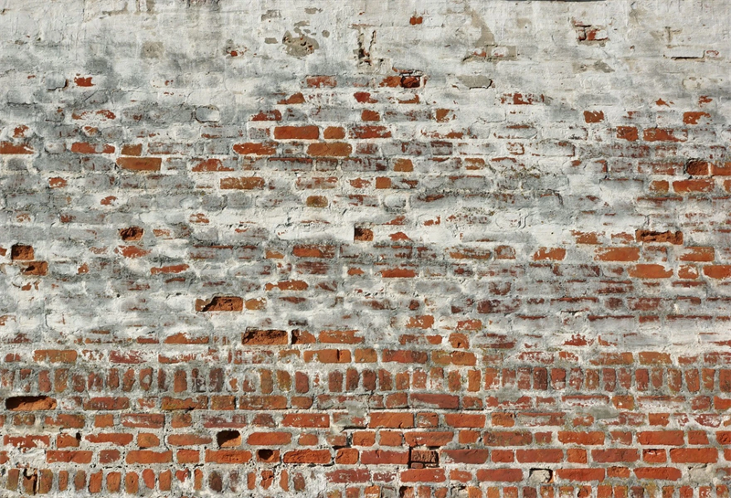 Fondale Fotografico Muro Di Mattoni In Cemento Stagionato GC-40