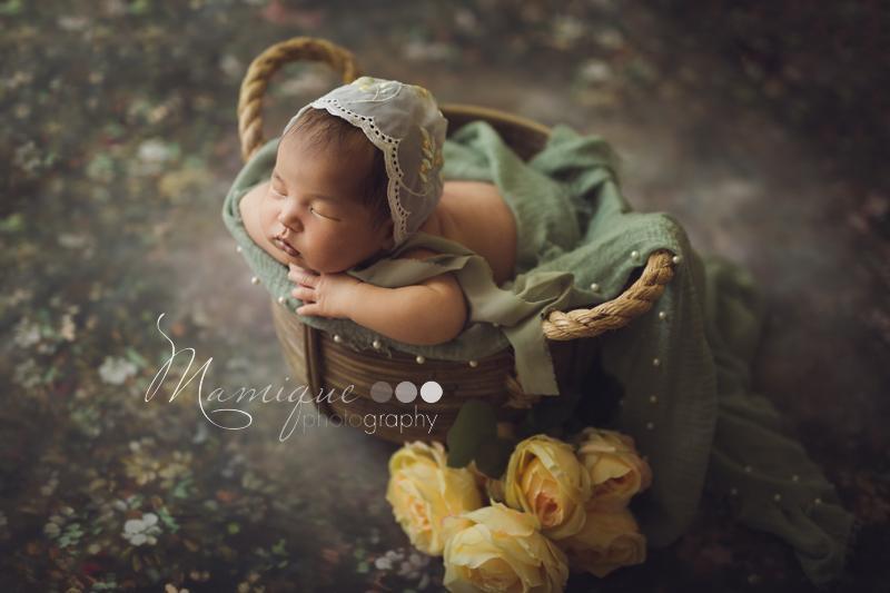 Fondale Astratto Della Cabina Fotografica Del Ritratto Del Fiore G-438