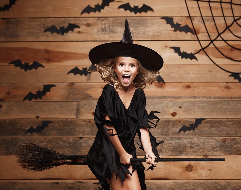 Sfondo Di Halloween Da Parete In Legno Con Ragnatela Per Fotografia DBD-H19147