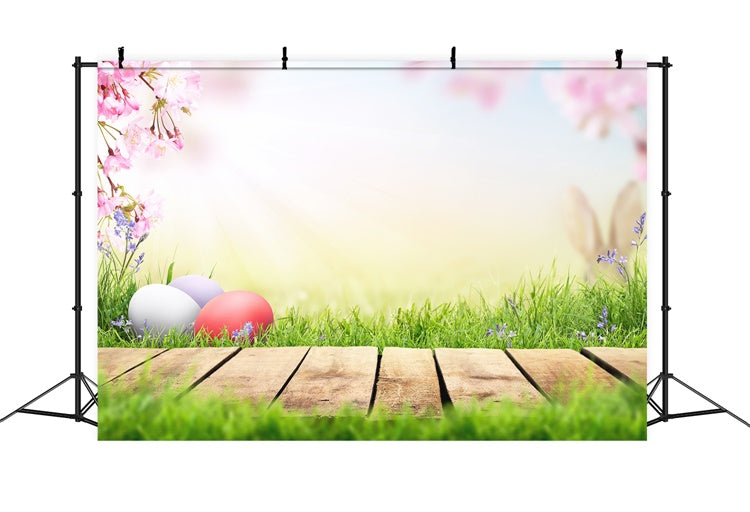 Sfondo Della Passerella Sul Prato Con Fiori Di Ciliegio Al Sole Dell'Uovo Di Pasqua M1-34