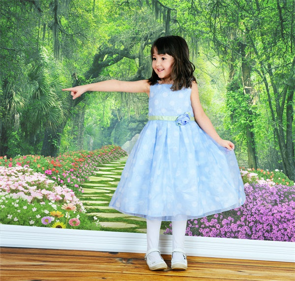 Fiori Primaverili Che Circondano Il Sentiero Foresta Mistica Sullo Sfondo M1-38