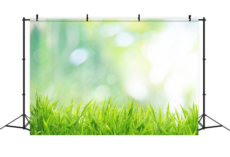 Sfondo Bokeh Soleggiato All'Inizio Della Primavera Con Erba Emergente M1-60