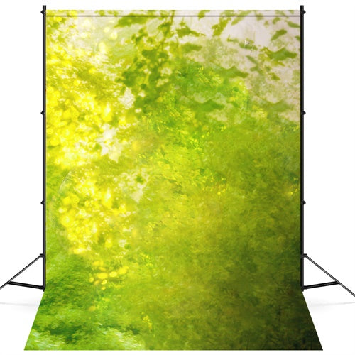 Sfumatura Artistica Primaverile Di Verde Intrecciata Attraverso Lo Sfondo Della Luce Solare M1-61
