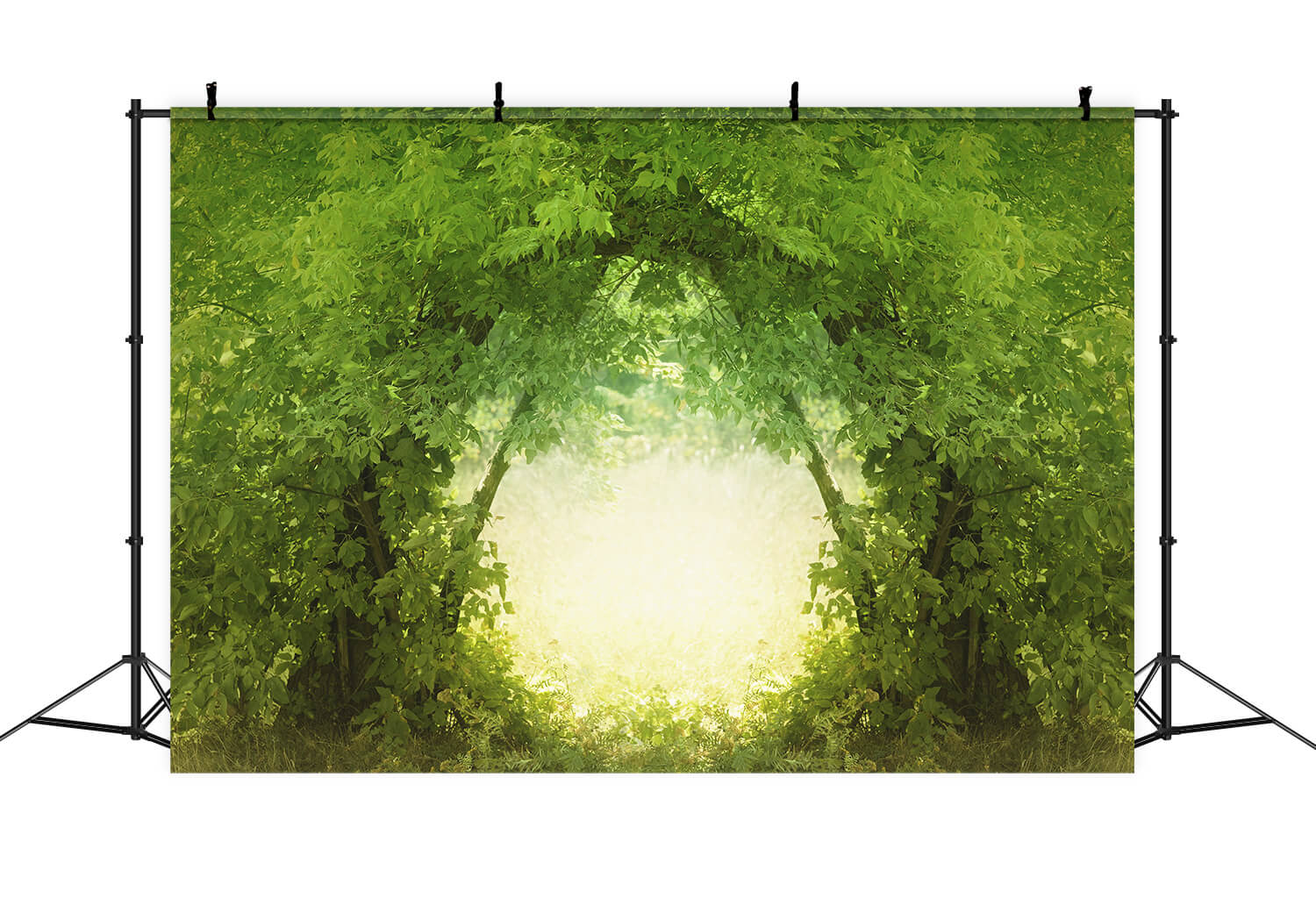 Rami Naturali Nel Profondo Della Lussureggiante Foresta Porta Sullo Sfondo Traslucido M1-76