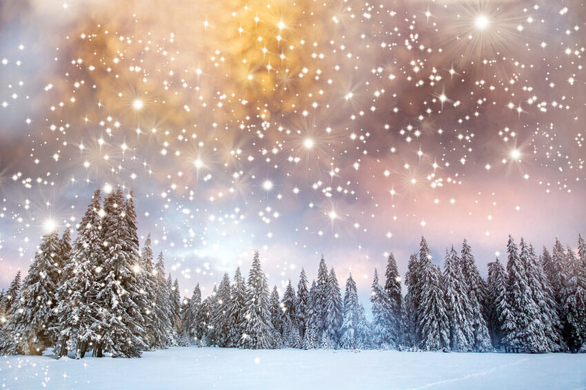 Neve Invernale Abeti Stelle Scintillanti Sfondo M10-15