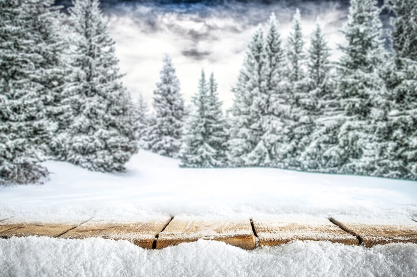 Sfondo Di Scena Di Neve Foresta Di Montagna Invernale M10-44