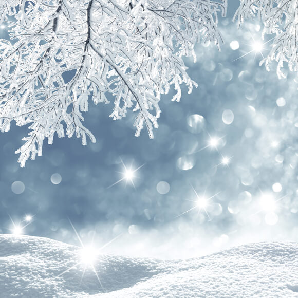Sfondo Di Paesaggio Di Fiocchi Di Neve Invernali Ghiacciati M10-49