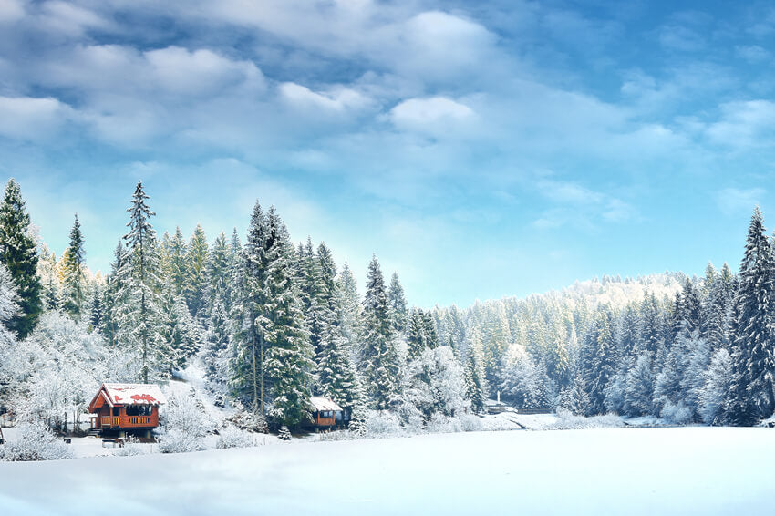 Sfondo Paesaggistico Del Villaggio Forestale Invernale Innevato M10-67