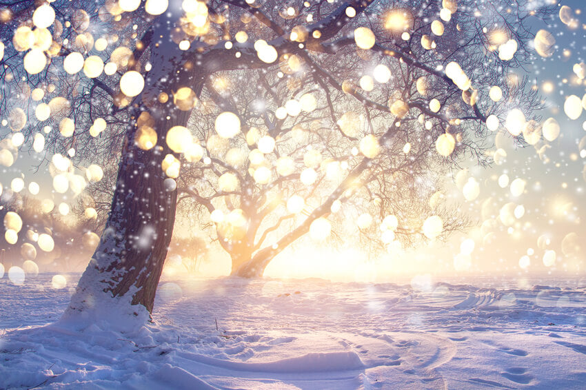 Sfondo Di Fiocchi Di Neve Glitterati Albero Innevato Invernale M10-72