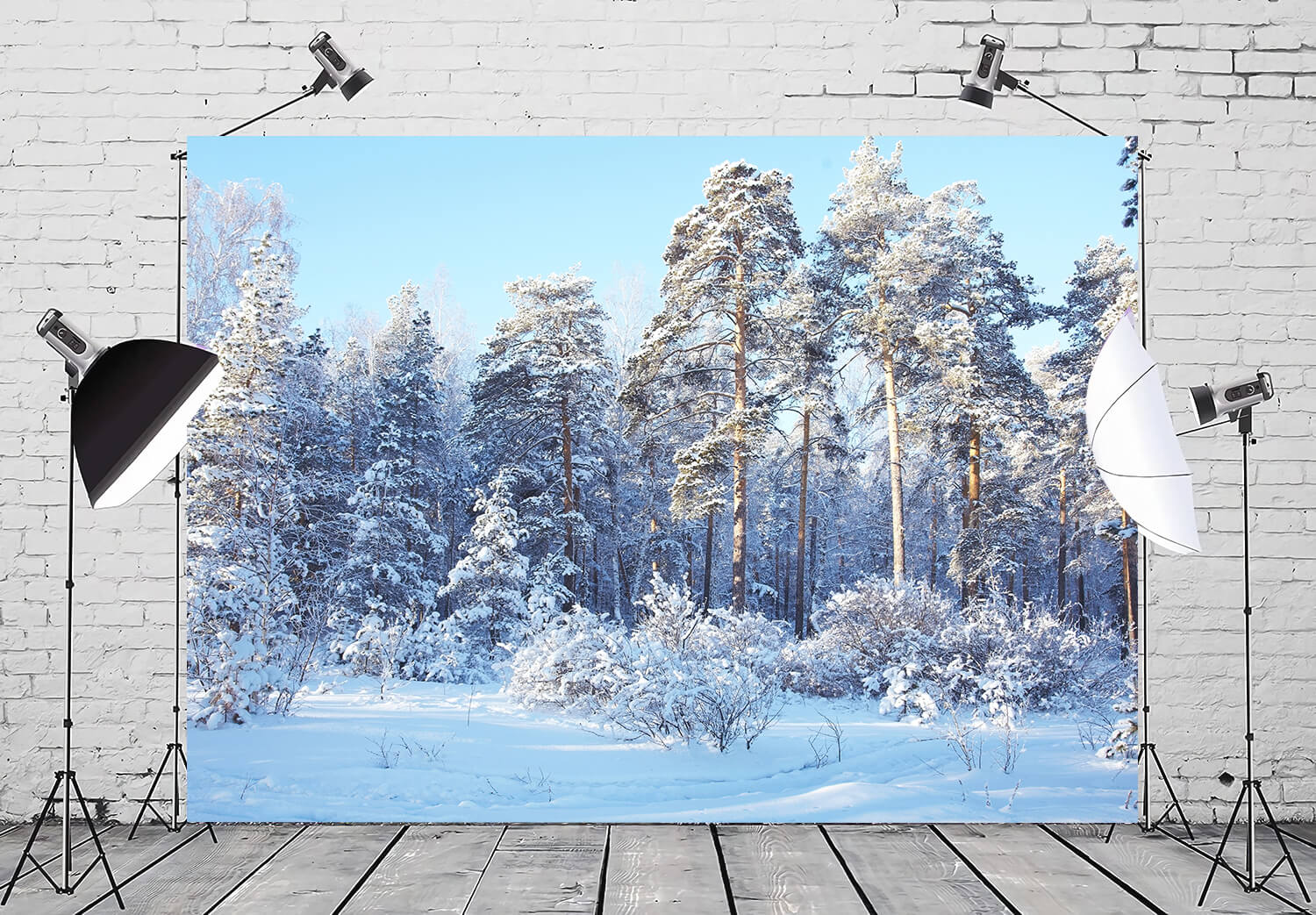 Sfondo Invernale Del Paese Delle Meraviglie Della Neve Della Foresta Di Pini M10-73