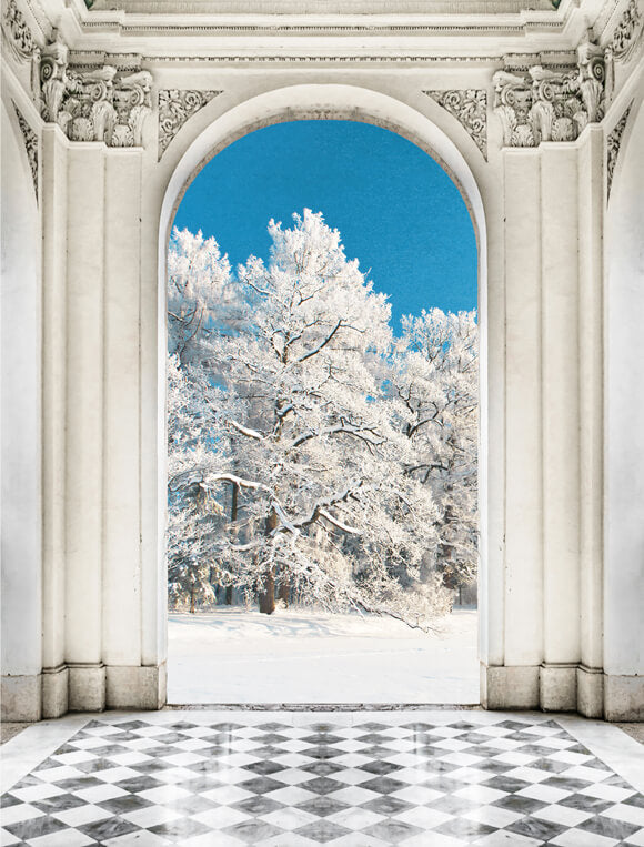Sfondo Della Vista Della Porta Del Palazzo Dei Pini Invernali M10-78
