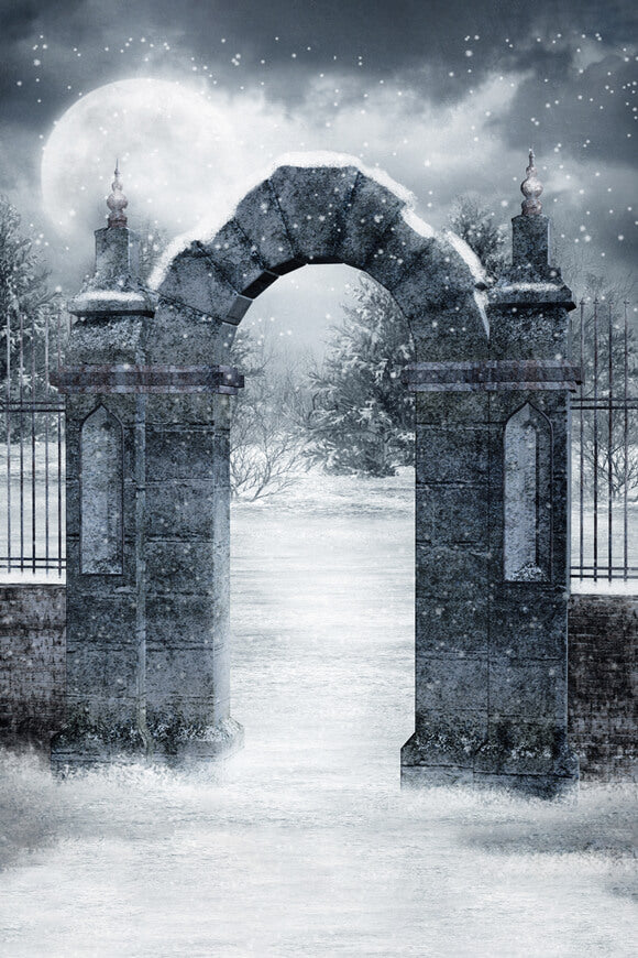 Sfondo Invernale Con Cancello Del Cimitero Gotico Innevato M11-04