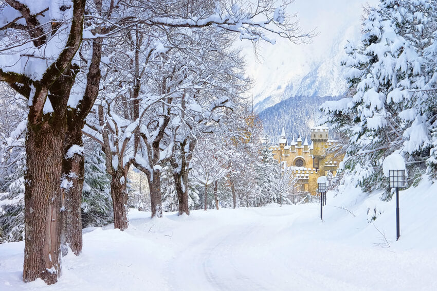 Sfondo Del Castello Di Strada Degli Alberi Innevati Invernali M11-12