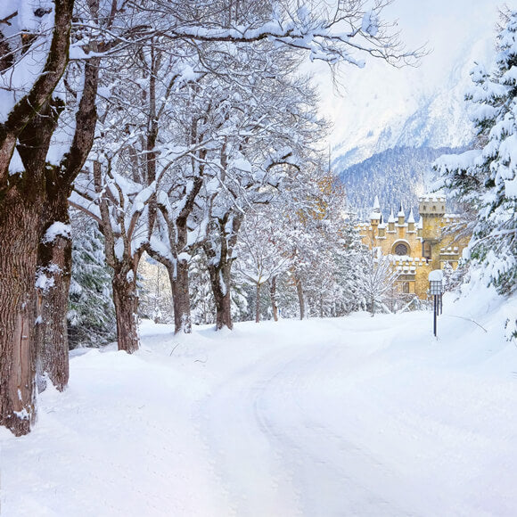 Sfondo Del Castello Di Strada Degli Alberi Innevati Invernali M11-12