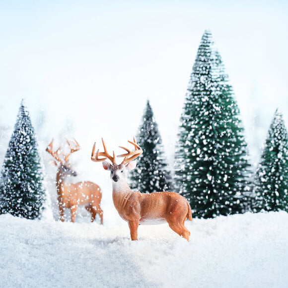 Sfondo Di Paesaggio Di Alci Della Foresta Di Neve Invernale M11-13