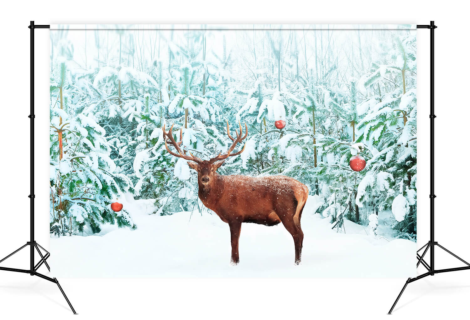 Nobile Cervo Rosso Inverno Neve Foresta Sfondo M11-14