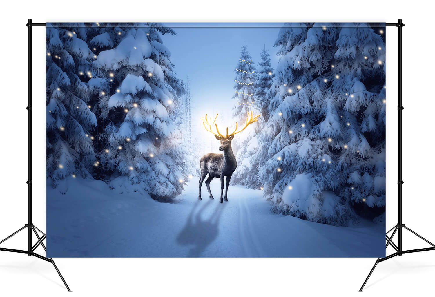 Sfondo Di Cervi Della Foresta Innevata Di Notte Invernale M11-15