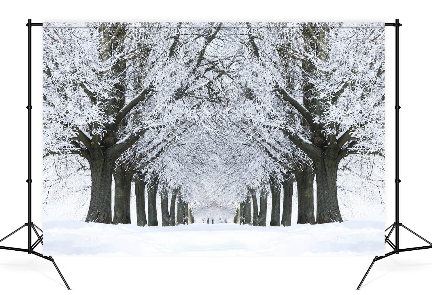 Sfondo Di Alberi Congelati Con Strada Innevata Invernale M11-17