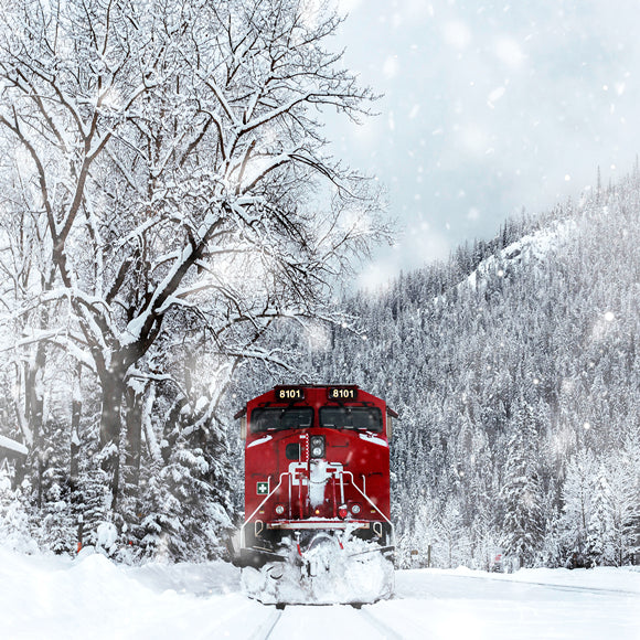 Sfondo Del Treno Forestale Invernale Innevato M11-30
