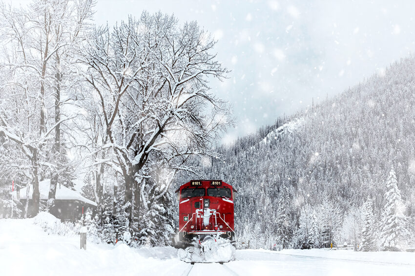 Sfondo Del Treno Forestale Invernale Innevato M11-30