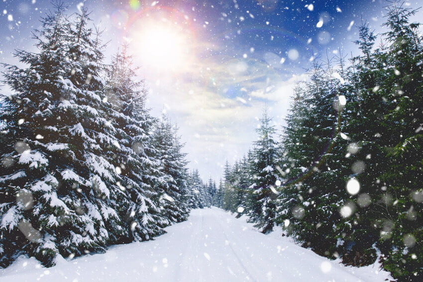 Sfondo Paesaggio Invernale Con Nevicate E Luce Solare M11-45