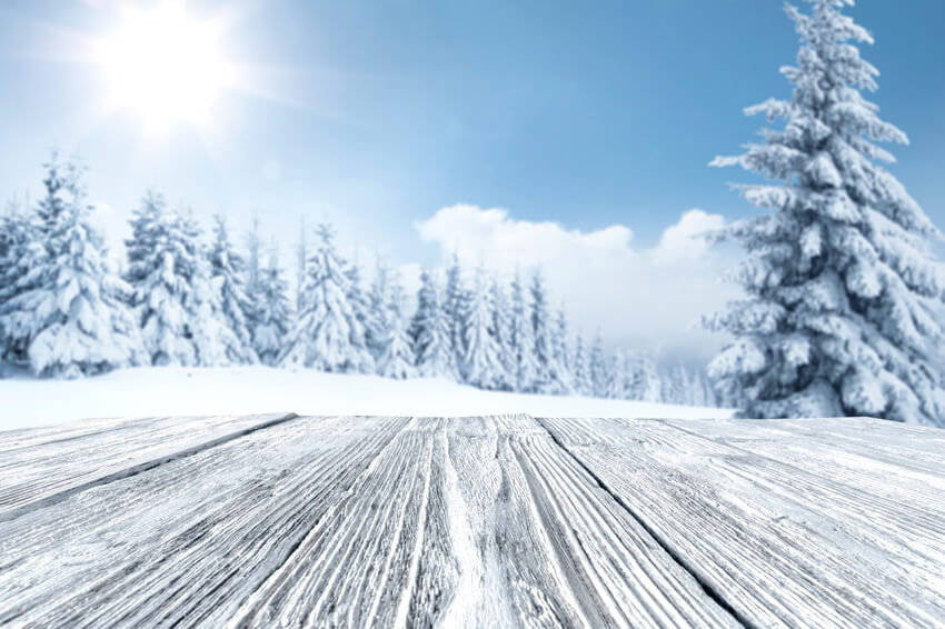 Sfondo Di Paesaggio Di Boschi Di Alberi Innevati Invernali M11-48