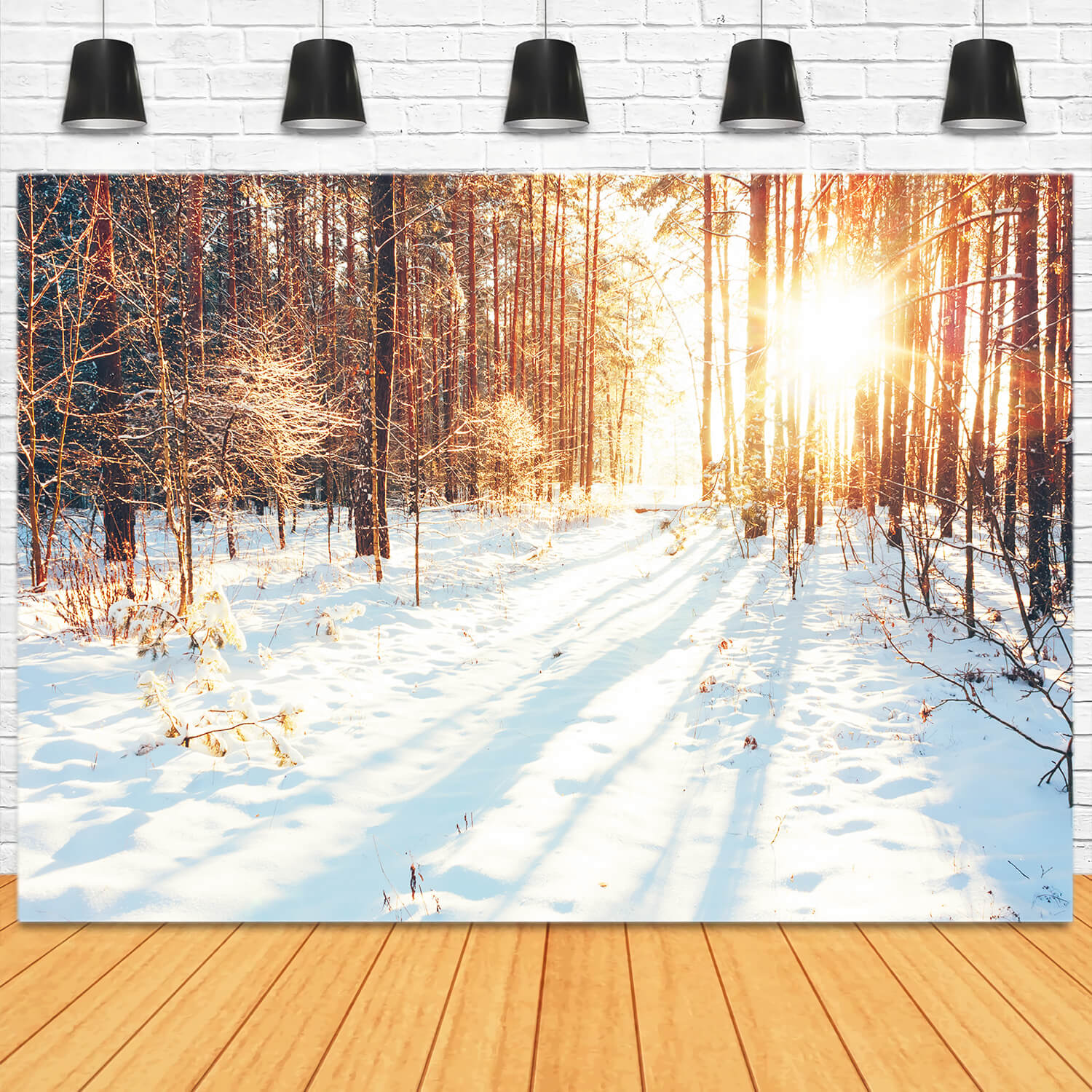 Sentiero Nel Bosco Invernale Luce Solare Sfondo Di Neve M11-64
