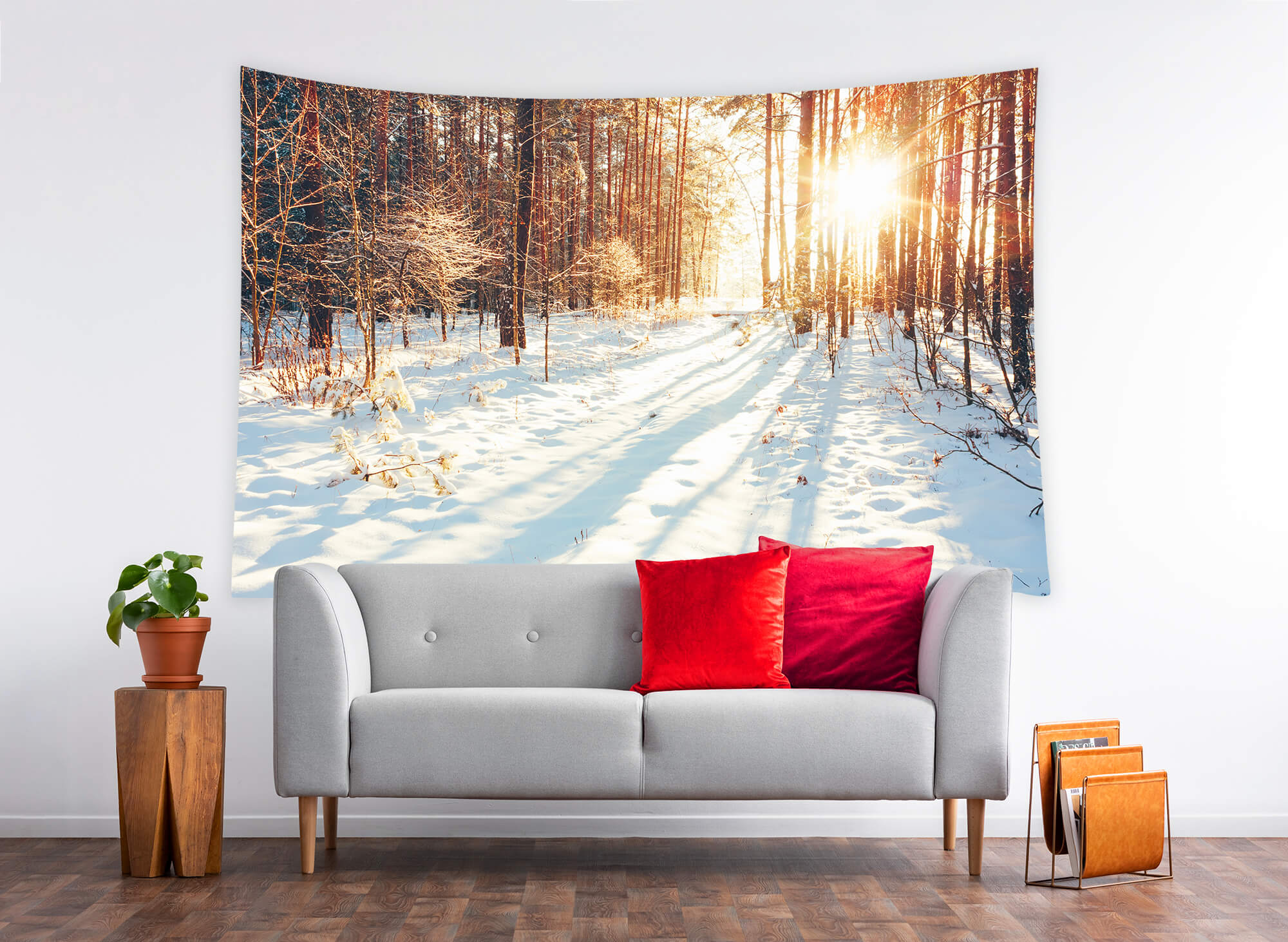 Sentiero Nel Bosco Invernale Luce Solare Sfondo Di Neve M11-64