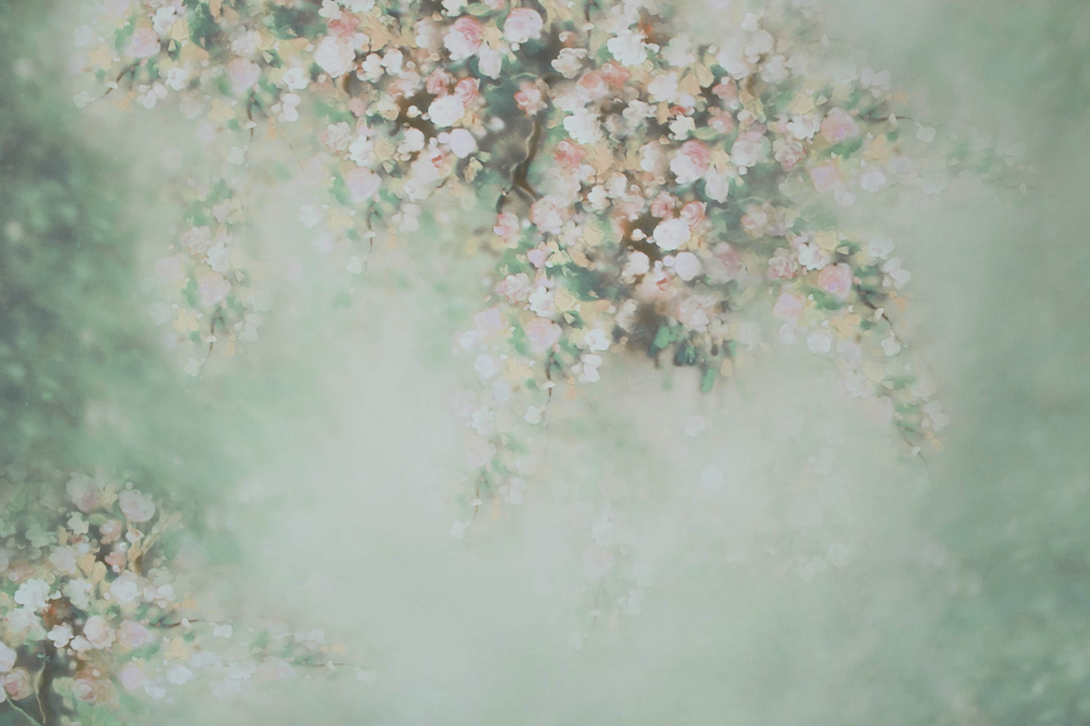 Abstract Elegante Fiore Pallido Fresco Sfondo Verde M12-37