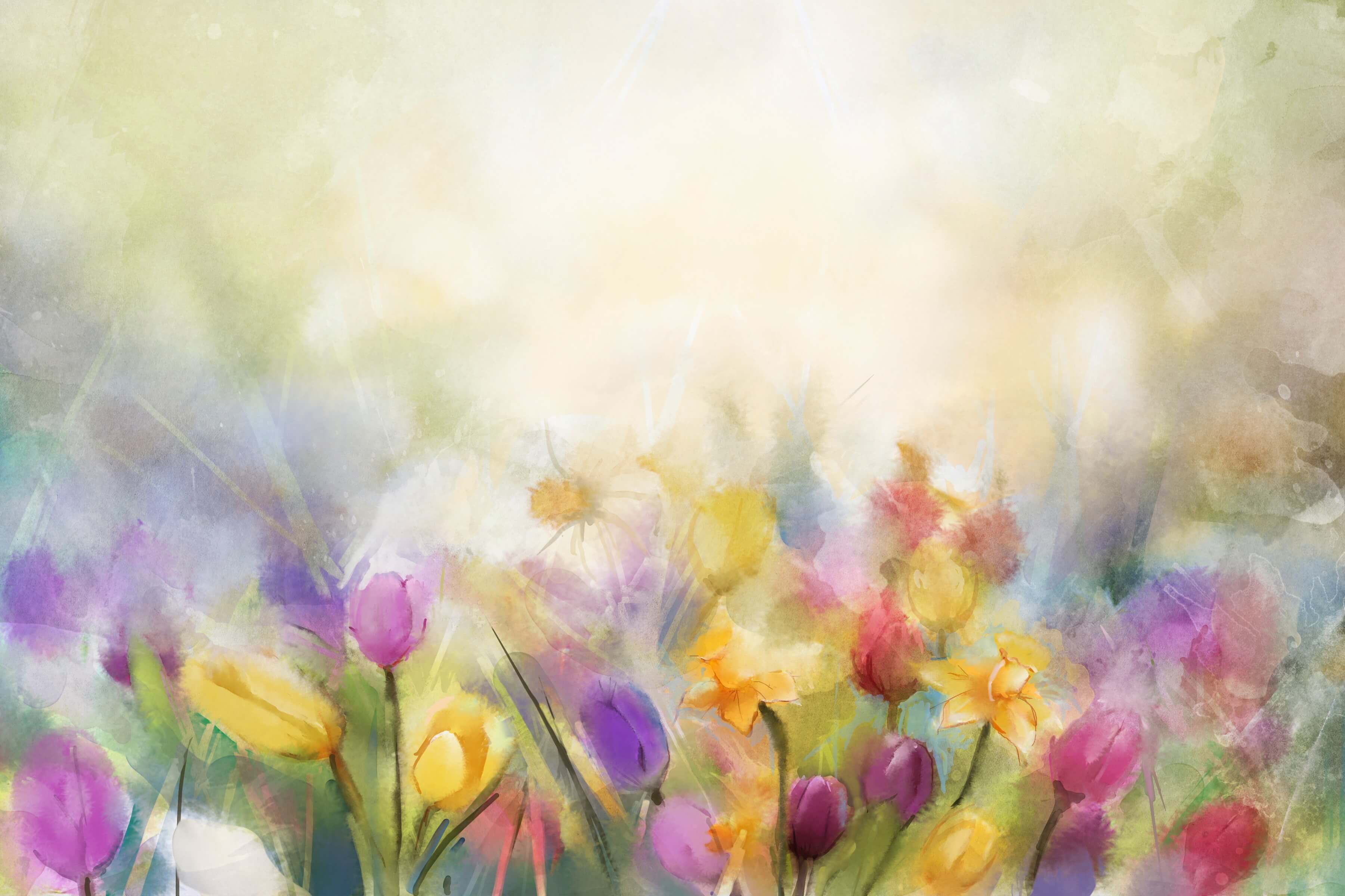 Pittura A Olio Sfondo Da Sogno Con Tulipani Colorati Nebulosi M12-38