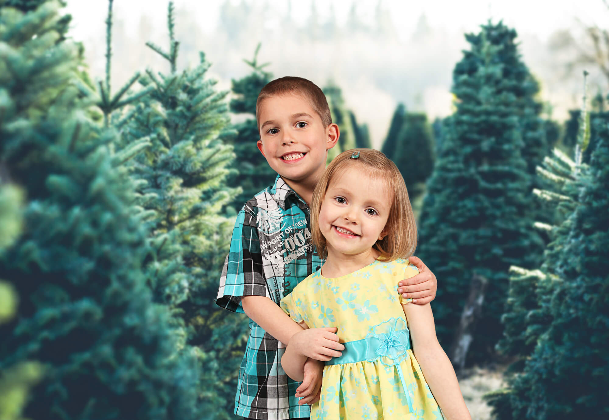 Sfondo Del Tramonto Della Mattina Della Foresta Di Abeti M2-15