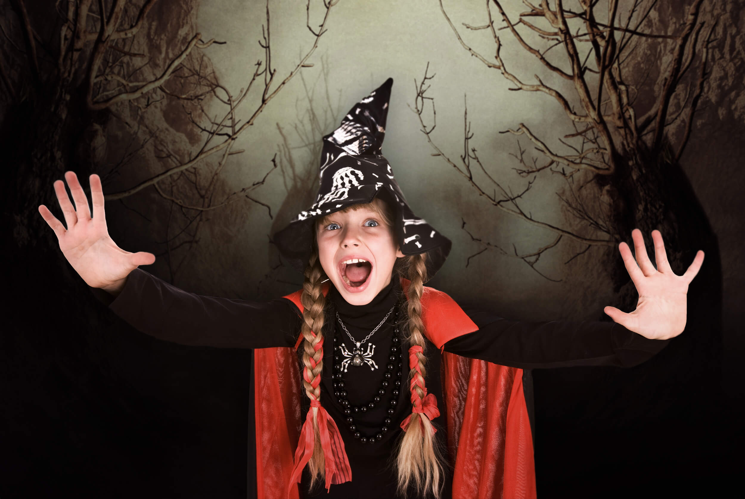 Sfondo Di Halloween Con Nebbia Notturna Dell'Albero Spettrale M6-133