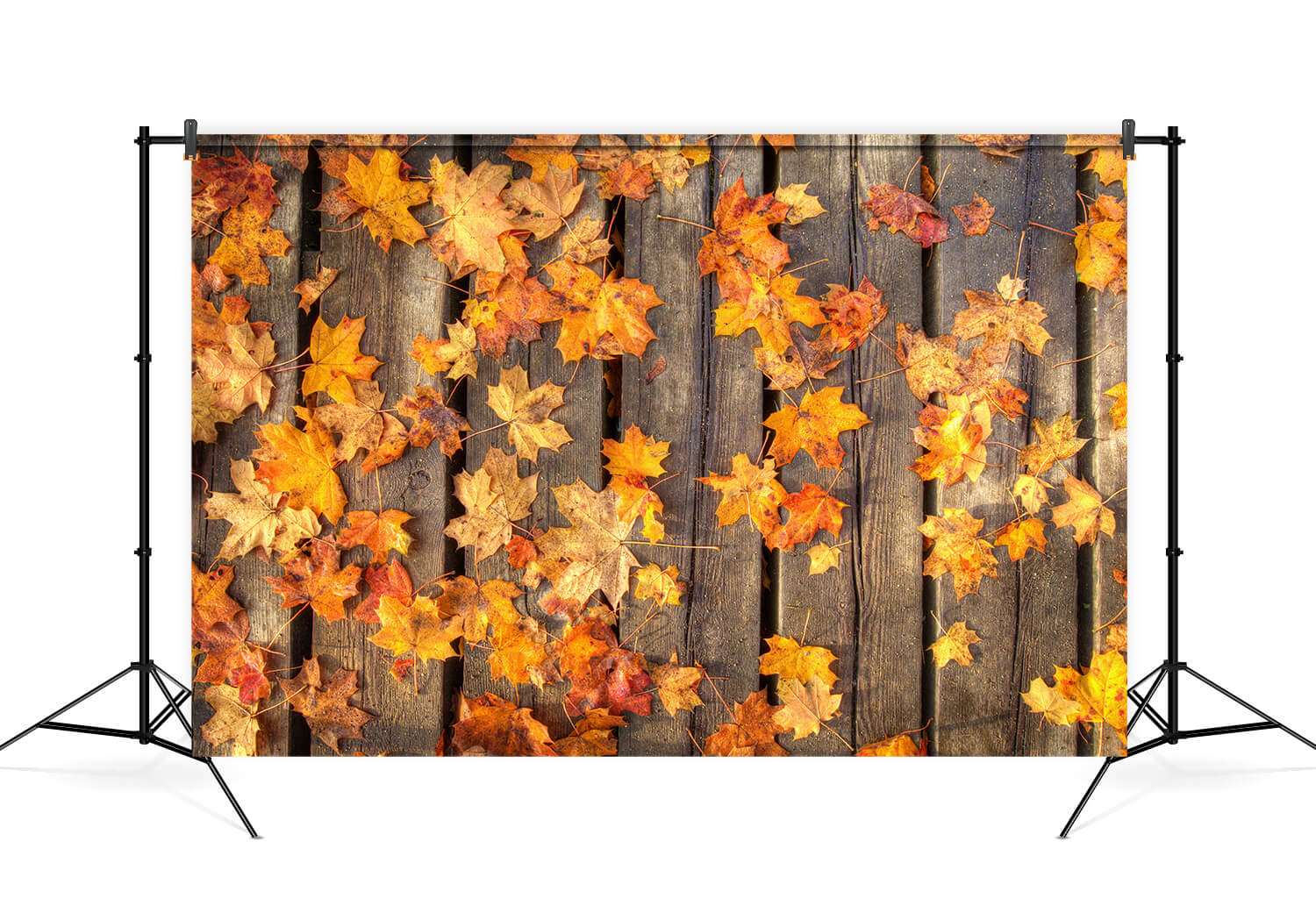 Foglie D'Acero Su Pavimento In Legno Sfondo Autunnale M6-98
