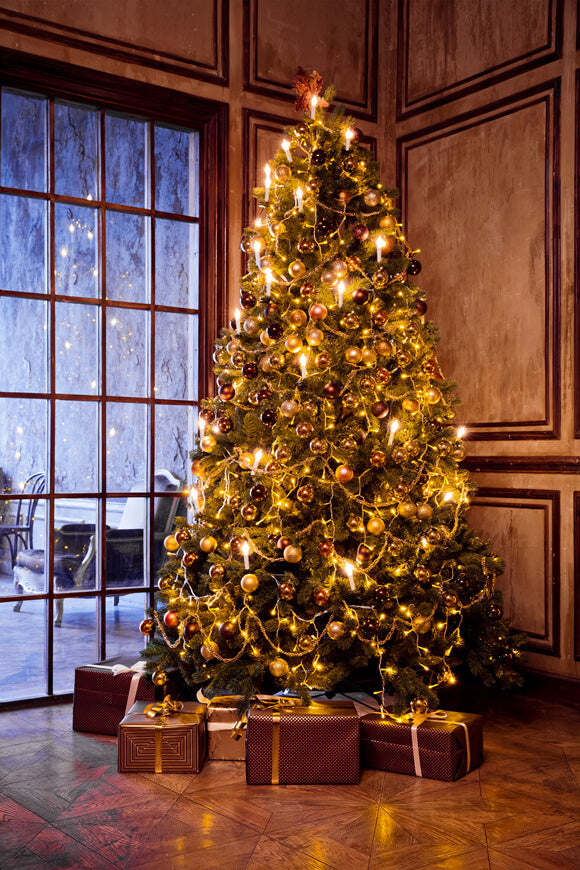 Sfondo Fotografico Con Finestra Dell'Albero Di Natale M7-15